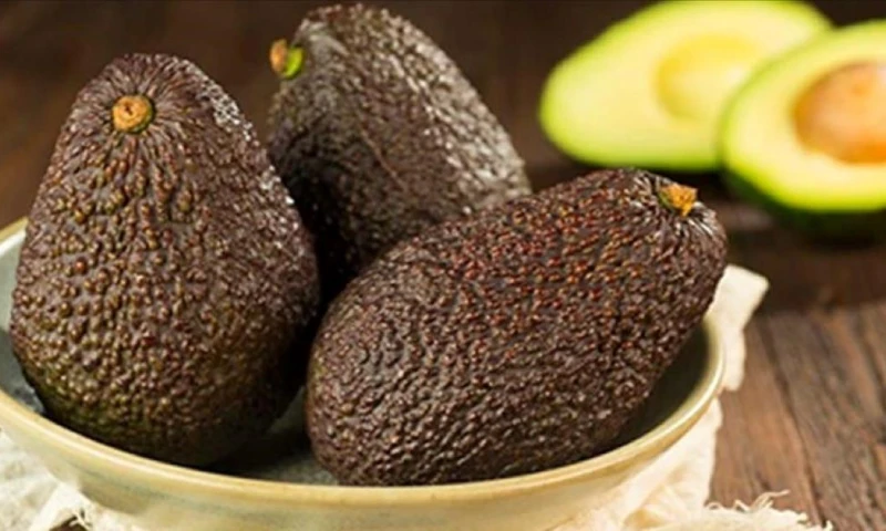 ¿Cuáles son las principales frutas de la región andina ecuatoriana? / Foto: cortesía Corpoaguacate