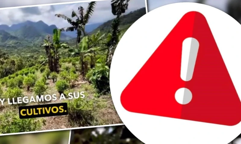 Jorge Navarrete realizó un reportaje sobre plantaciones de coca en la frontera norte / Foto: cortesía Fundamedios
