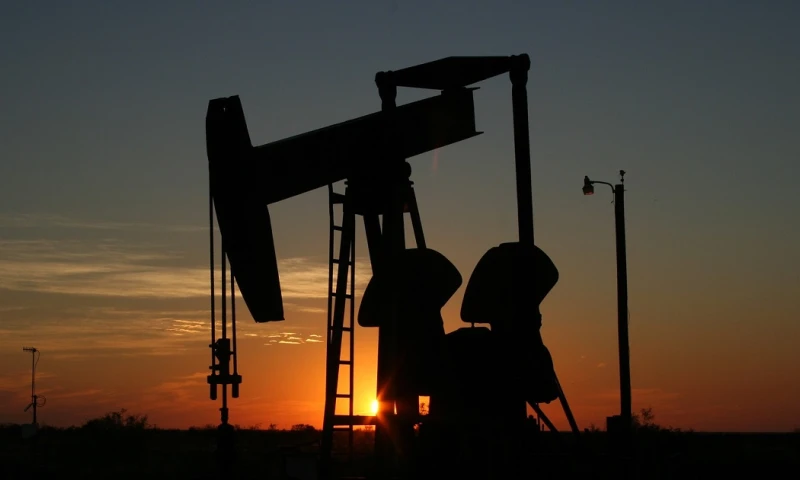 Para 2024 la OPEP vaticina un "sólido crecimiento mundial" que eleve la demanda de crudo en 2,2 mbd hasta un promedio de 104,25/ Foto: cortesía Pixabay