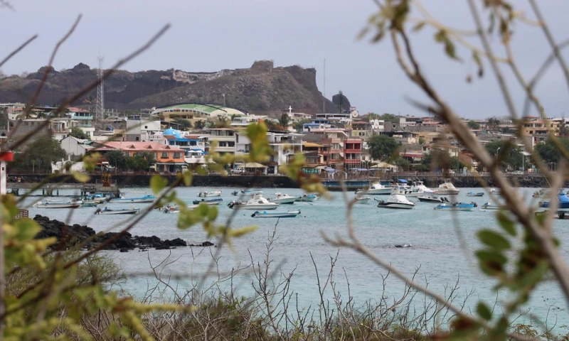 "No se ha emitido ningún tipo de licencia ambiental a favor de la empresa Hogalapagos S.A. para el desarrollo de este proyecto" / Foto: EFE