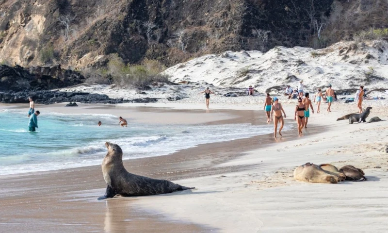 El 55 % de los turistas llegados a las Islas Galápagos fueron extranjeros (154.489) / Foto: cortesía Parque Nacional Galápagos