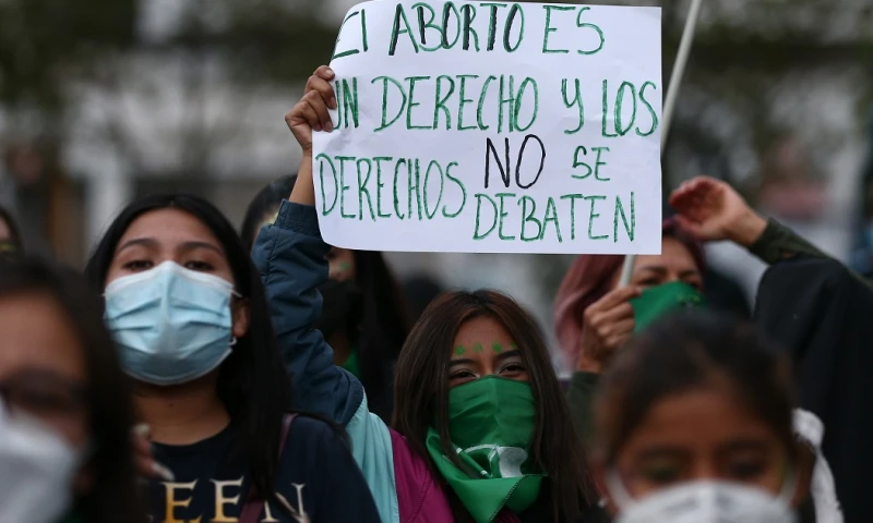Organizaciones piden la ley de aborto por violación a la Asamblea / Foto: EFE
