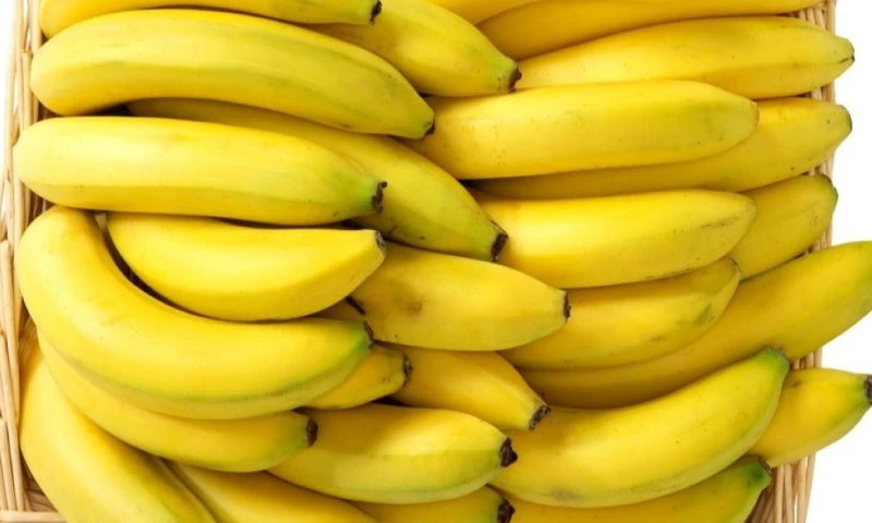 En el caso del banano, la reducción será progresiva: actualmente enfrenta un arancel del 24 % / Foto: cortesía Ministerio de Producción