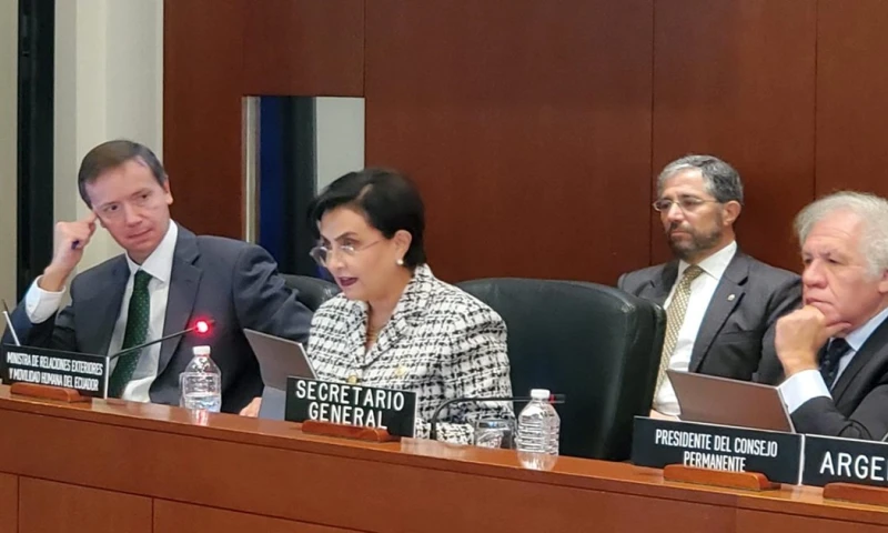 La canciller atribuyó esta violencia a "grupos terroristas" / Foto: cortesía Cancillería