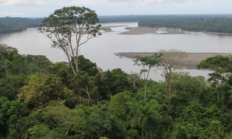 El 22 de abril de 2009, la Asamblea General de las Naciones Unidas aprobó una resolución declarando esa fecha como el Día Internacional de la Tierra. / Foto: El Oriente