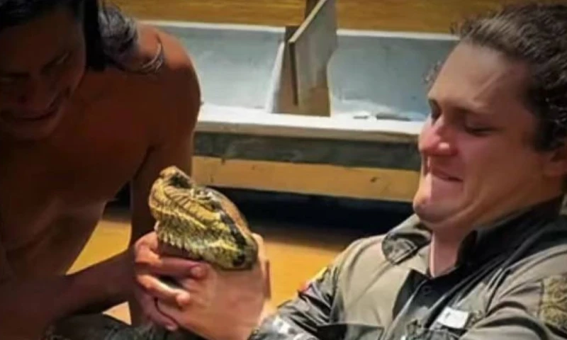 De acuerdo con la UICN, la anaconda verde está catalogada a nivel global como Preocupación Menor / Foto: cortesía Sucúa TV 