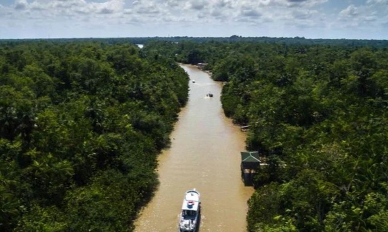 El programa Amazonía Siempre del BID cuenta con el apoyo de países como Dinamarca, Suecia y Noruega / Foto: cortesía Banco Interamericano de Desarrollo