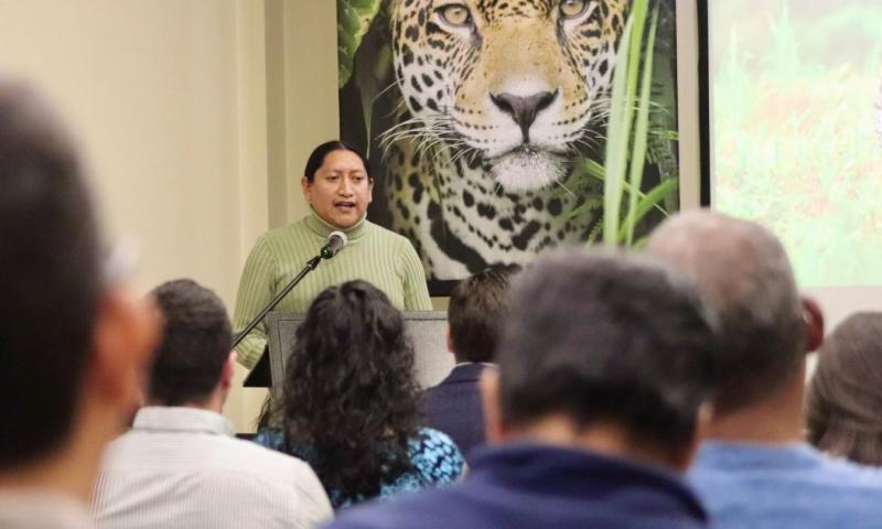 En Ecuador habitan aproximadamente 1.200 jaguares (Panthera onca) / Foto: cortesía MAATE