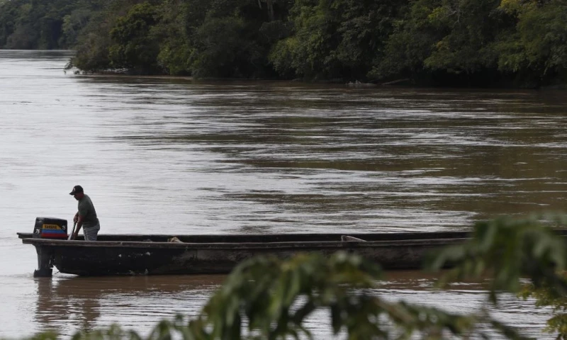 Fueron deforestadas 27.052 hectáreas en la región amazónica entre enero y marzo de este año / Foto: EFE