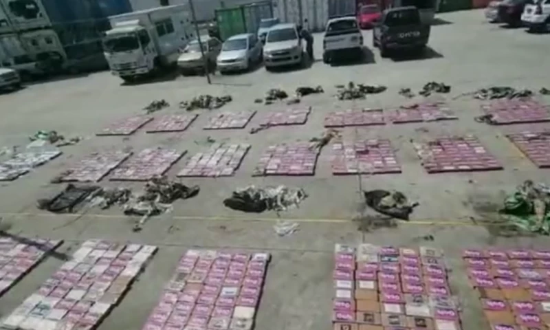 La Policía incautó más de 1,1 toneladas de cocaína que se dirigían a Bélgica / Foto: Cortesía Policía Nacional