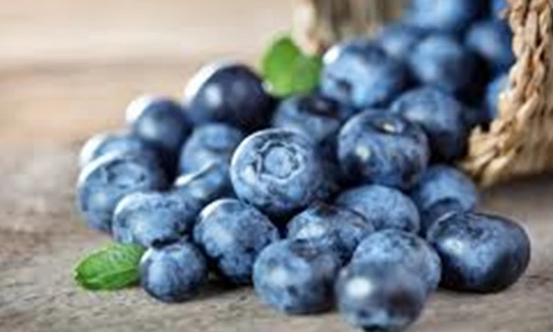 Con la demanda asiática, la industria ecuatoriana se centra en aumentar el cultivo / Foto: cortesía Agrocalidad 