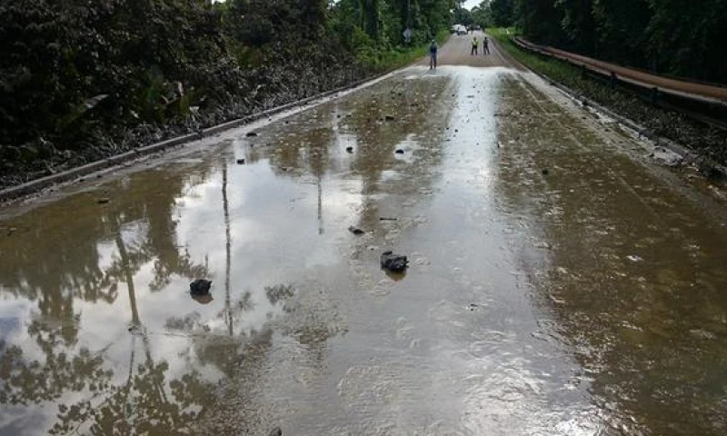 Foto de Víctor Gómez 