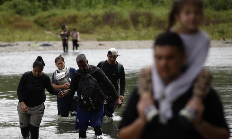 El Tapón del Darién es una densa selva que marca la frontera natural entre Colombia y Panamá / Foto: EFE