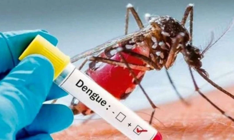 Las provincias amazónicas son las más afectadas por el dengue / Foto: cortesía Ministerio de Salud