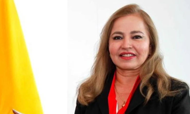 Villareal fue exdirectora disciplinaria del Consejo de la Judicatura de Guayas / Foto: cortesía 