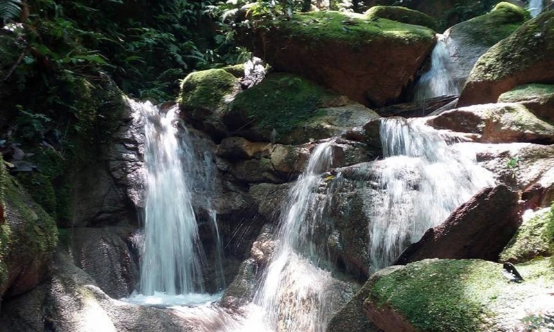 Está ubicado en la zona de amortiguamiento del Parque Nacional Llanganates/ Foto: cortesía Tripadvisor