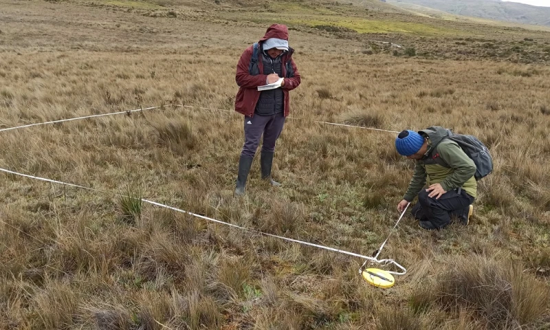 Dundee Precious Metals (DPM) y la Universidad de Azuay (UDA) realizaron un monitoreo biótico en la zona del proyecto/ Foto: cortesía DPM