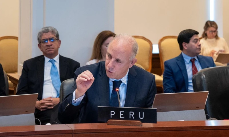 La medida fue ordenada por el canciller peruano, Javier González-Olaechea / Foto: cortesía Javier González-Olaechea