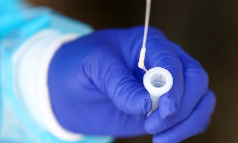 Ecuador registra 1.852 nuevos casos de covid-19 y acumula 569.184 positivos / Foto: EFE 