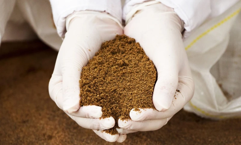 La harina de pescado, que incrementó sus exportaciones un 149,5 % / Foto: cortesía 