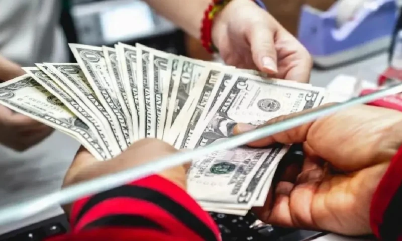 Ese año, las remesas se ubicaron como la tercera fuente más importante de divisas para la economía nacional / Foto: cortesía Ekos