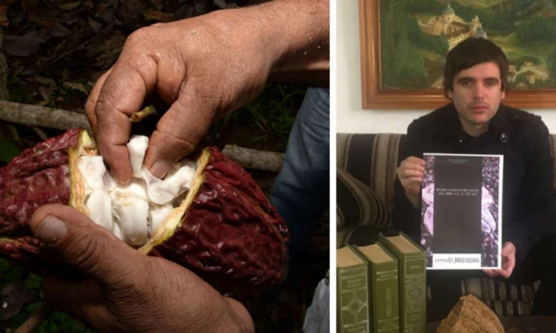 Por lo menos una variedad de Theobroma Cacao tiene su origen en la Alta Amazonía y ha sido utilizada en la región por más de 5.000 años. En la gráfica derecha, ?Roberto Ordóñez muestra la portada de su libro que presentará a mediados de este mes de mayo.  Foto: El Telégrafo