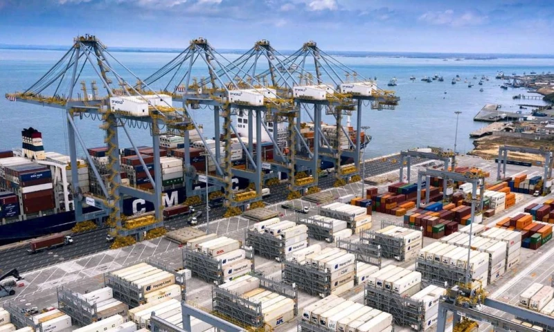 La terminal portuaria registró valores crecientes en el índice: 34 en 2020, 95 en 2023 y 107 en 2024 / Foto: cortesía DP World