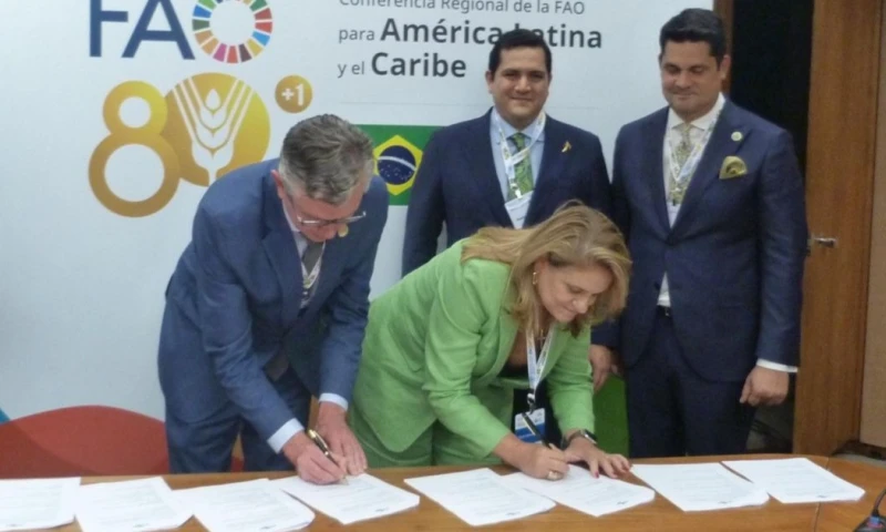 La iniciativa surge en un contexto de creciente preocupación por la expansión del Fusarium TR4 / Foto: cortesía MAGP