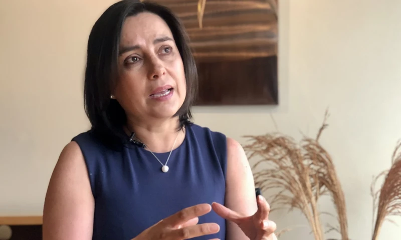 La presidenta ejecutiva de la Cámara de Minería del Ecuador aseguró que revocar las concesiones puede causar incluso el efecto contrario / Foto: EFE