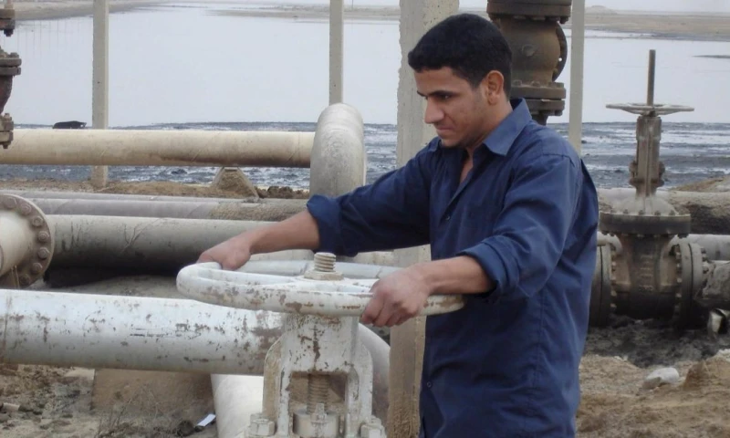 La organización vincula ese incremento con la precisión de que la economía global "continúe su expansión constante" / Foto: EFE