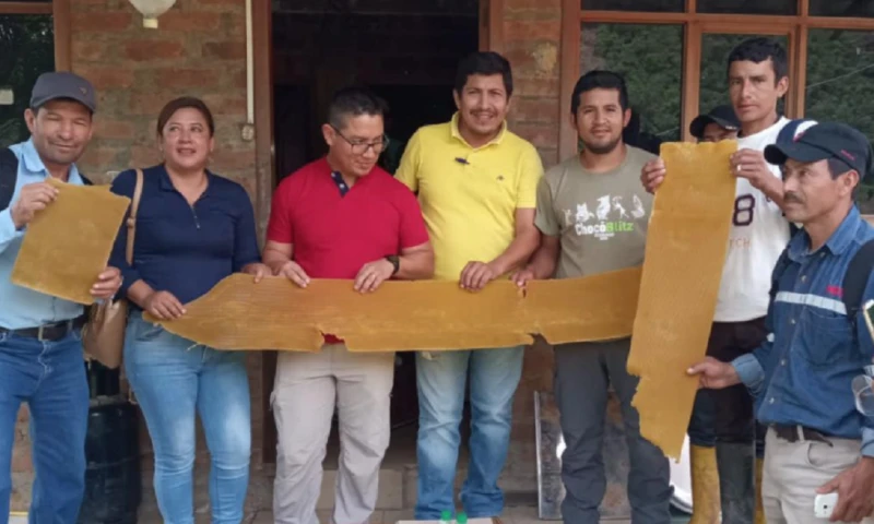 La producción apícola es incentivada en Zamora / Foto: cortesía ministerio de Agricultura