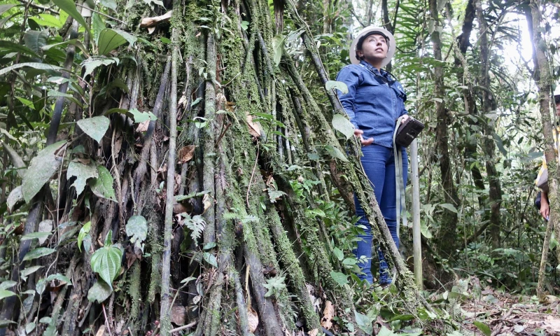 En el foro participaron unos sesenta expertos nacionales e internacionales / Foto: EFE 