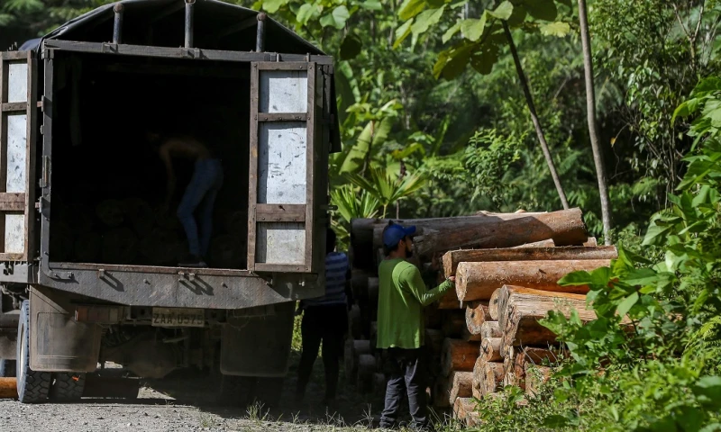 La energía eólica impulsa el mercado negro de la balsa / Foto: EFE