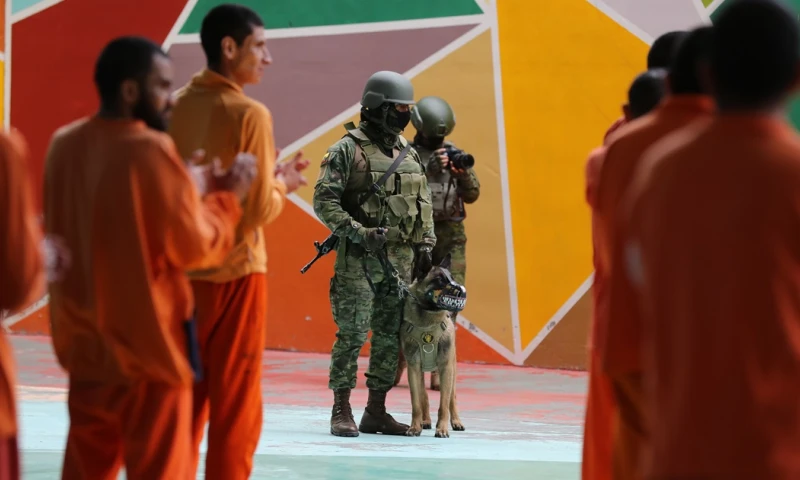 La fuga se dio durante la madrugada de este jueves / Foto: EFE