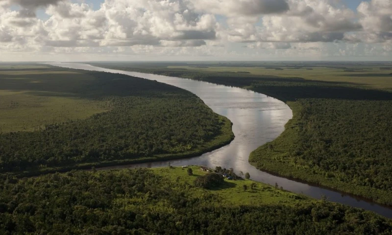 Muchas de estas áreas enfrentan amenazas crecientes por deforestación y degradación / Foto: cortesía The Nature Conservancy