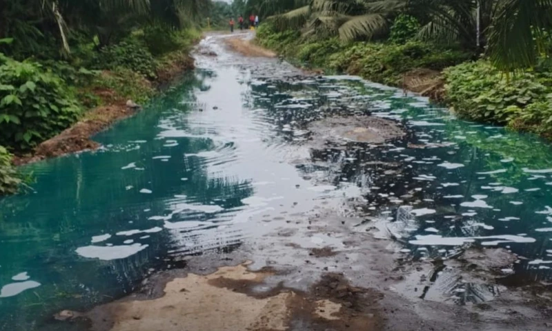 Principales noticias de Ecuador hoy - 29 de octubre de 2025 / Foto: cortesía Cuerpo de Bomberos de Quinindé