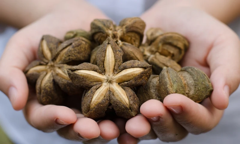 Se cultiva en 13 provincias, siendo la Amazonía la región principal / Foto: cortesía