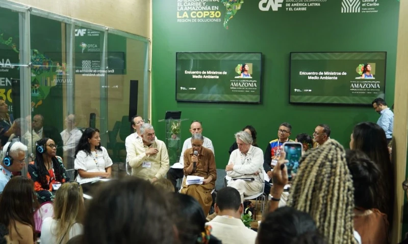 El objetivo de la OTCA es producir mapas regionales de deforestación y de los cambios del uso del suelo / Foto: cortesía CAF