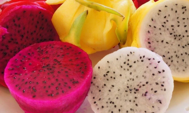 La medida favorece principalmente a sectores agrícolas, pesqueros y mineros / Foto: cortesía Camae