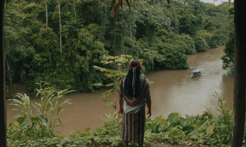 El festival recibió más de 3.700 postulaciones, de las cuales apenas 160 fueron elegidas / Foto: cortesía Colectivo Tawna