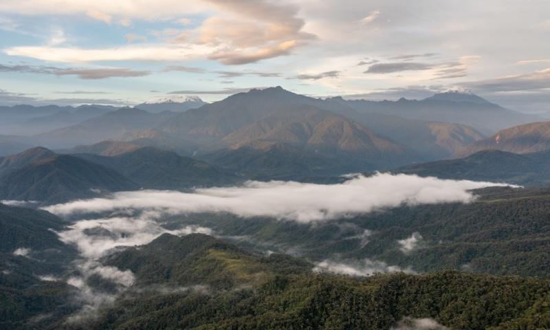 También advierte que experiencias previas han demostrado que estas obras pueden fragmentar los ecosistemas / Foto: cortesía WWF