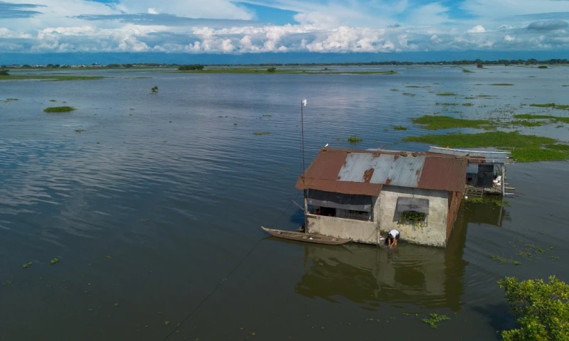 En el campo, cerca de 50.000 animales han muerto y más de 6.500 hectáreas de cultivos se han perdido / Foto: EFE 