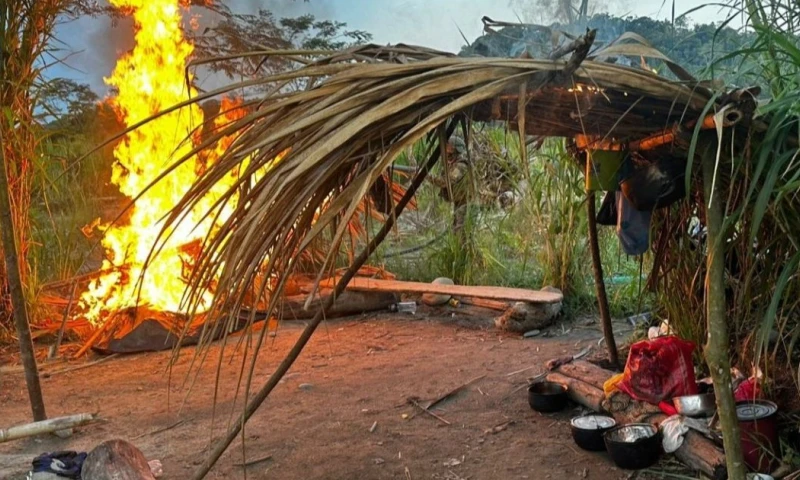 Las Fuerzas Armadas realizaron operativos en Zamora Chinchipe y Napo / Foto: cortesía