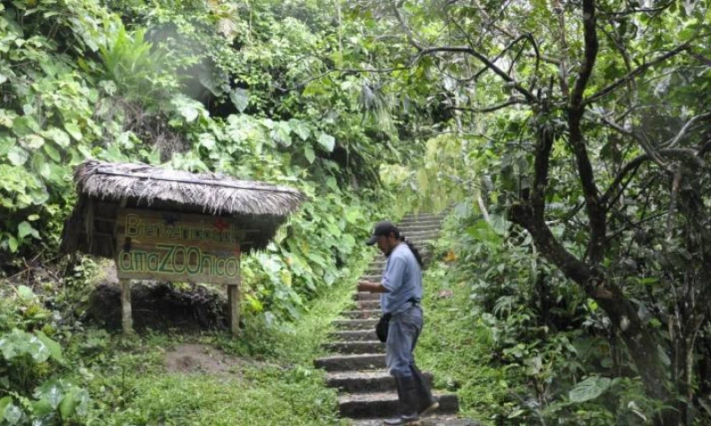 Ecuador está siempre en la lista de países más biodiversos del planeta. Foto: Expreso