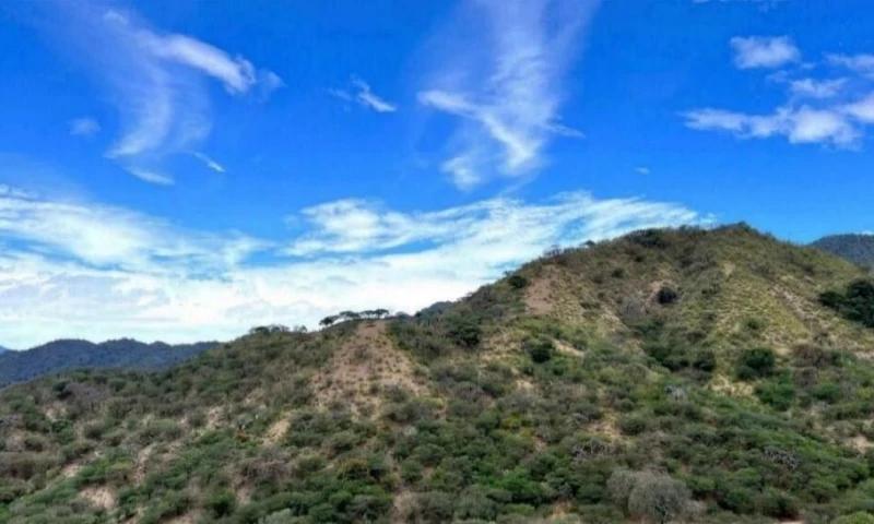 La necesidad de asegurar financiamiento se vuelve determinante para avanzar en proyectos como El Palmar, ubicado en Ecuador / Foto: cortesía Sunstone Metals