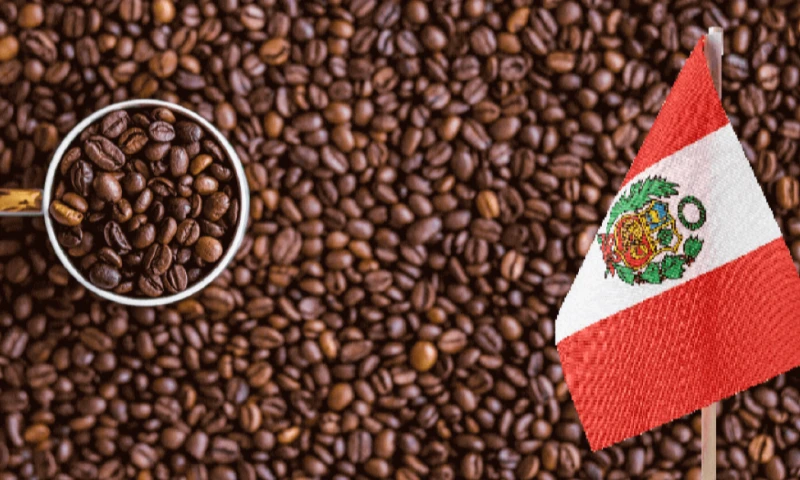 En 2025, el cacao superó los $ 6,000 por tonelada y el café alcanzó precios récord / Foto: cortesía Point Andina