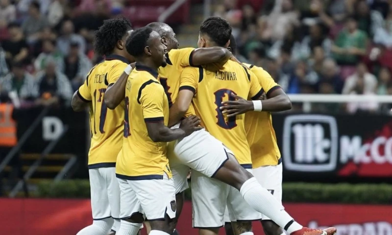 Ecuador competirá en el grupo E contra Alemania, Costa de Marfil y Curazao / Foto: cortesía La Tri