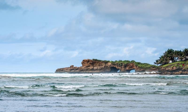 Estudio internacional verifica especies exóticas de plantas en la costa / Foto: EFE