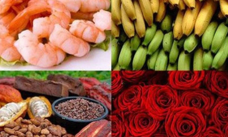 Las exportaciones totales aumentaron 8 % entre enero y octubre de 2025 / Foto: cortesía Cámara Marítima del Ecuador