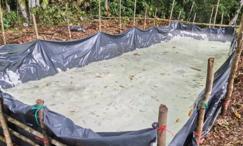 El hallazgo se realizó en el sector de la Mitad del Mundo, cantón Lago Agrio, provincia de Sucumbíos / Foto: cortesía Ejercito